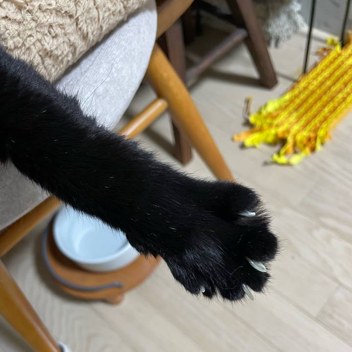 Eaf85c1f 9db9 4e7a a7c3 311b674f6bc0 1761052219963