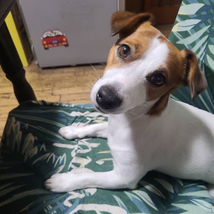 Eaf85fb7 1385 4247 9960 1488d3fe656b 1665444336227