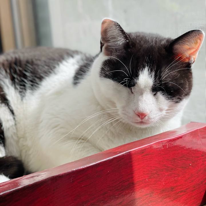 Eaf87761 3df0 4310 874b 6df87a22130e 1651112340349