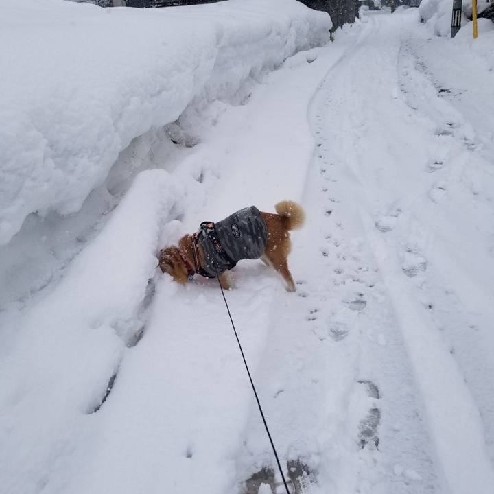 Eaf880db c0b3 4ca0 9d93 f5c53f86051b 1740971475428