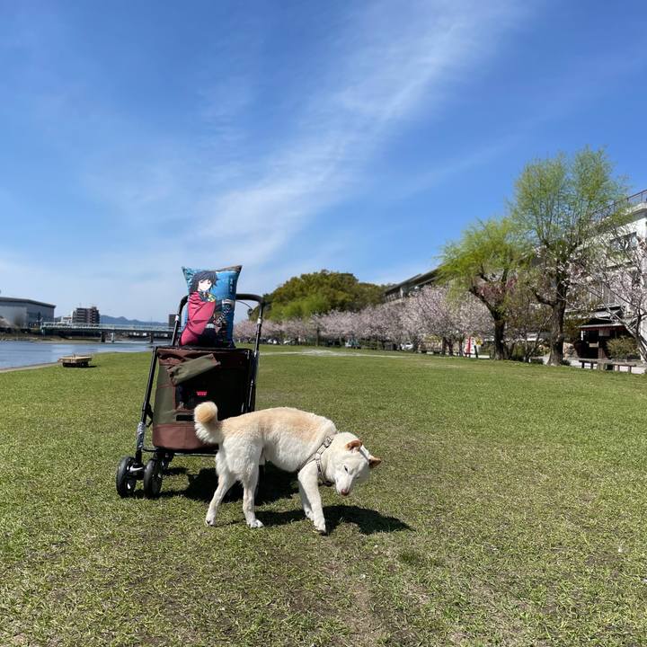 Eaf88e9e 52ea 4ad5 9265 21570c958d90 1648786258180