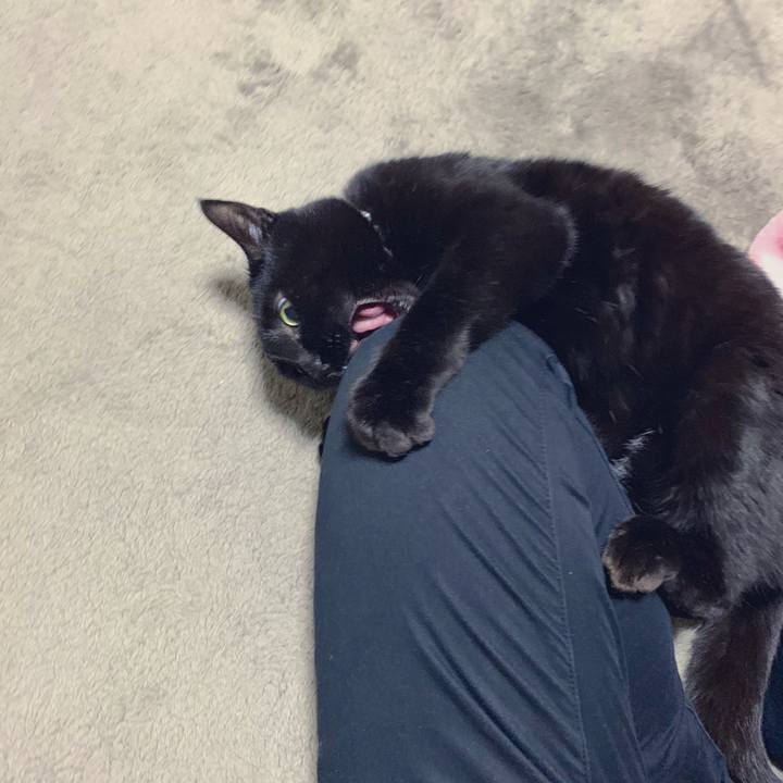 Eaf8b1a9 cf94 4516 ba3c 66acb4de074a 1547557030706