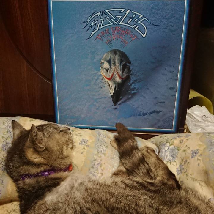 Eaf8bd9f 6468 4941 9afa f369e44ce694 1594987877361