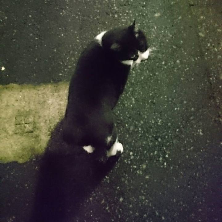 Eaf8c065 47a6 4668 a33d 47f47d10b2ae 1524652062973