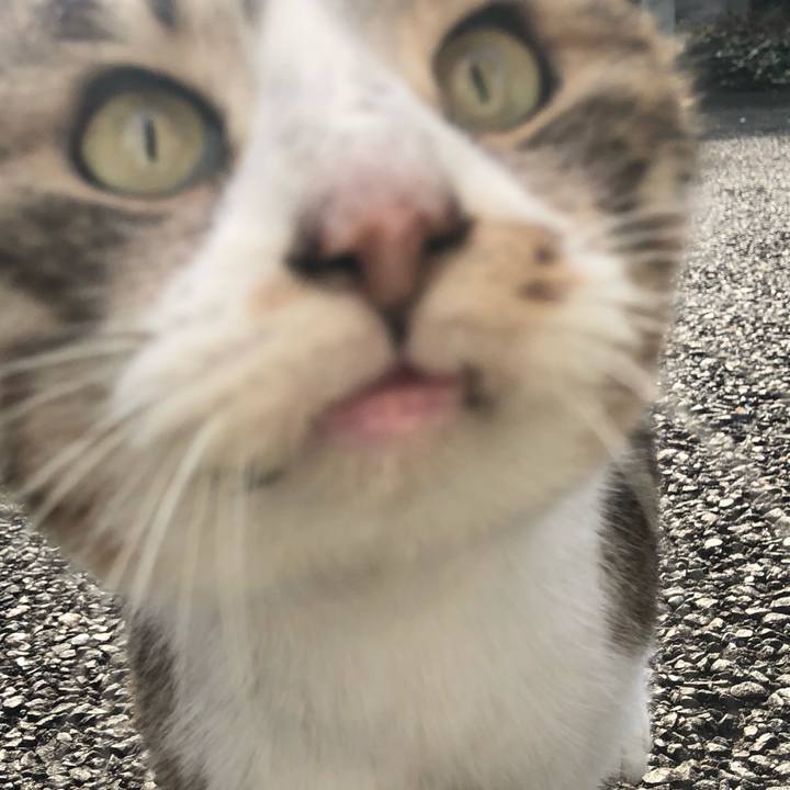 Eaf8ee43 7ae9 4b7b 855f de7d37777ebe 1546656518972