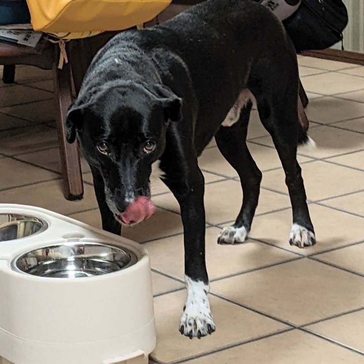 Eaf8ee43 b44a 435b ad64 461f57265efd 1659870995555