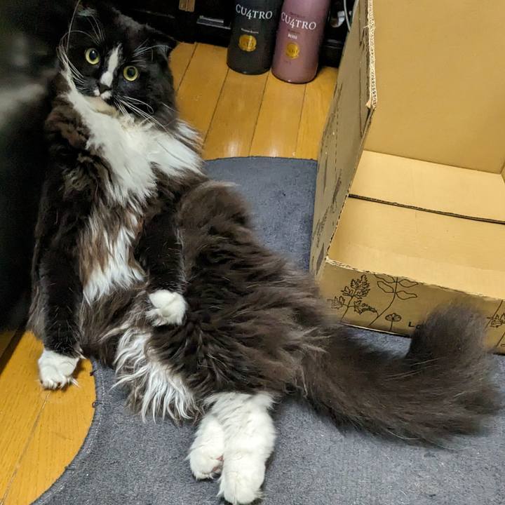 Eaf93536 f4af 4fe6 8187 aeba408805b6 1689982055187