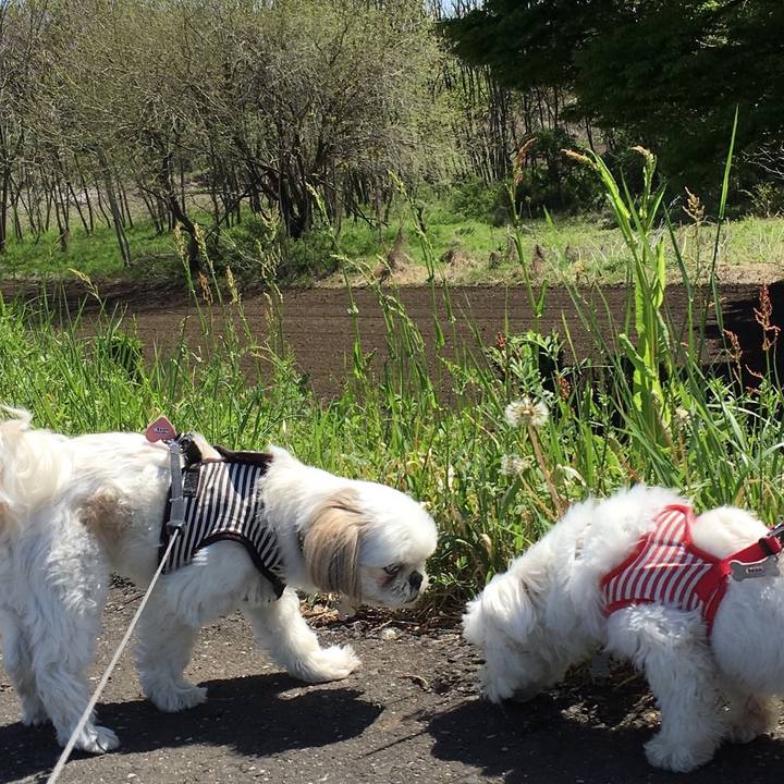 Eaf93777 3e98 41c1 9ff8 8cc33dd076df 1556449584156