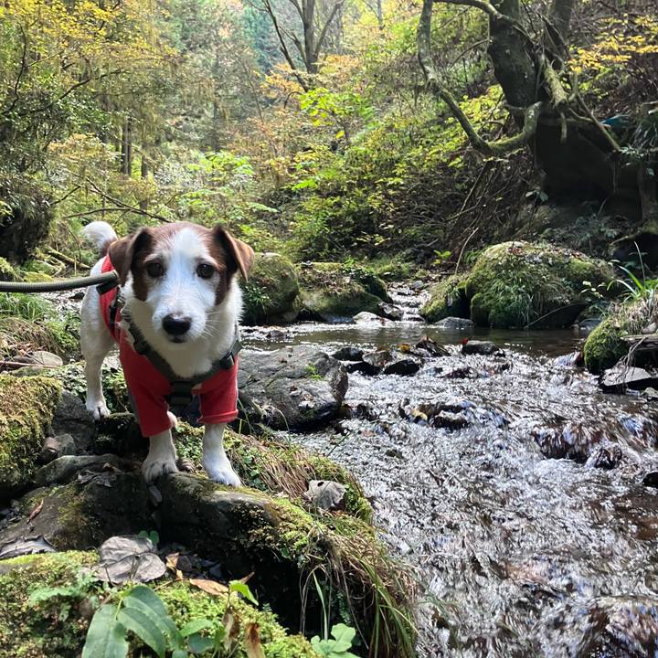 Eaf967f9 8ccf 4be0 8e71 c5abfb892fe4 1763196821215