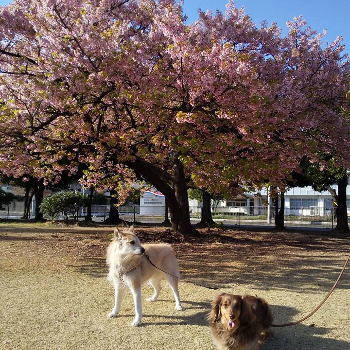 Eafa0292 8e28 4bb9 b00e 4be8731543c6 1584262468426