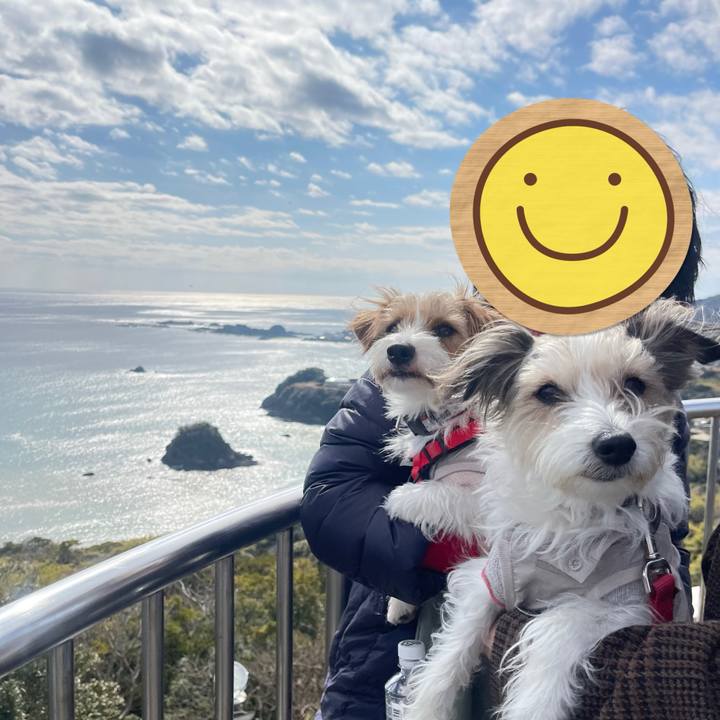 Eafa4033 be2f 4bca bf32 23190fd0c8c3 1770901110826