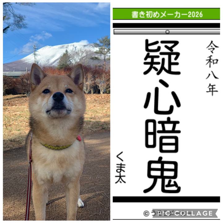 Eafa66c0 e496 40da 8bf5 6368e0e57e84 1767422207247