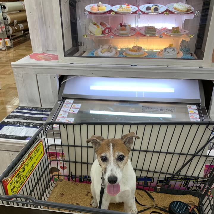 Eafa6d2f bbab 4de2 ba3d e0c26df40e71 1593433043405