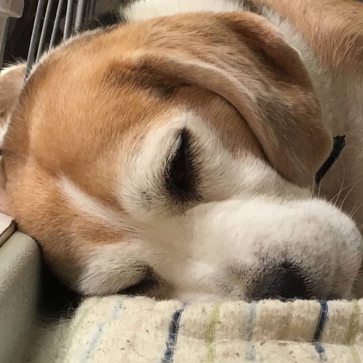 Eafa8e2e 76cf 4c11 9fb4 f00e71a11239 1535241843758