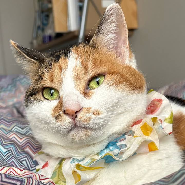 Eafa91f4 df9c 4d74 83f9 25a87373bcbe 1771064443656