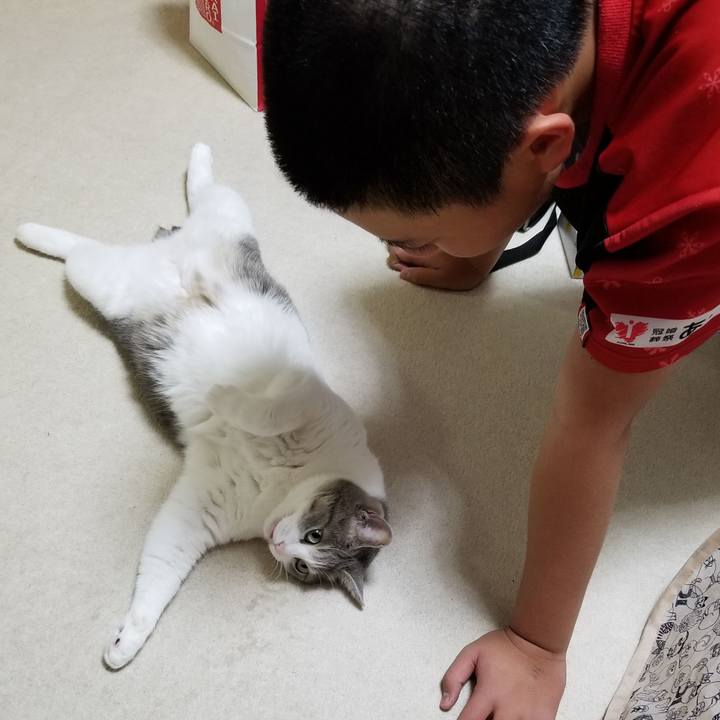 Eafab945 5c89 4814 b8ee 6da660b08346 1603804380136