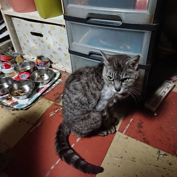 Eafac9ca b449 4372 a8da e9b8306f7c80 1593371564796