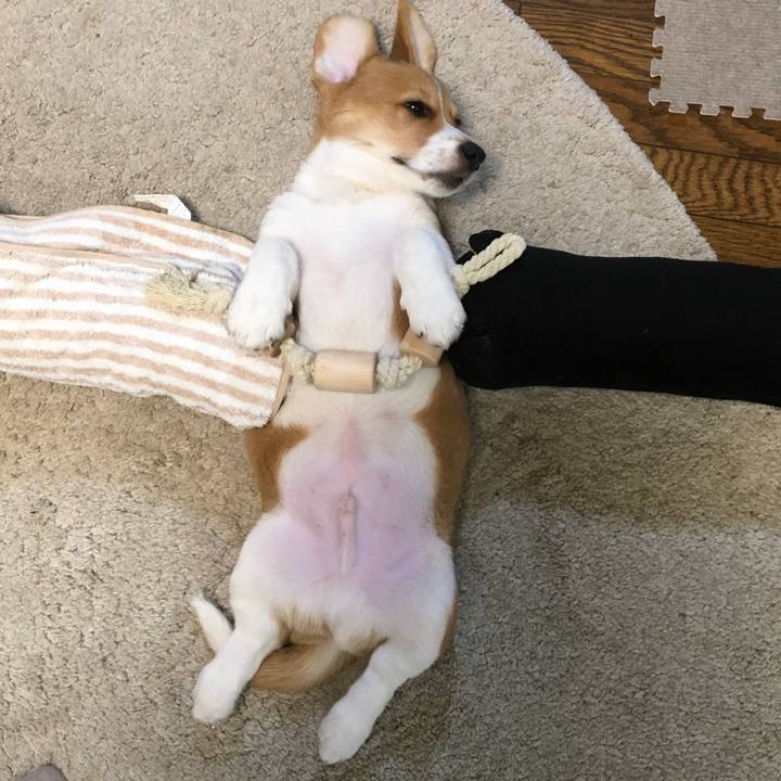 Eafaca76 b83b 4d46 95e6 e1450a226093 1591143701725