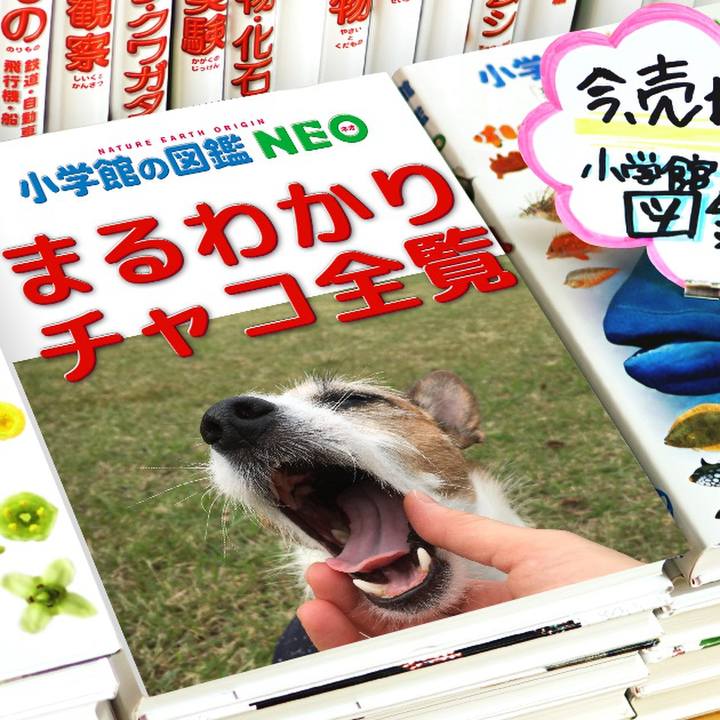 Eafacae3 07d0 4422 901a 0cfd0d3babca 1578541056830