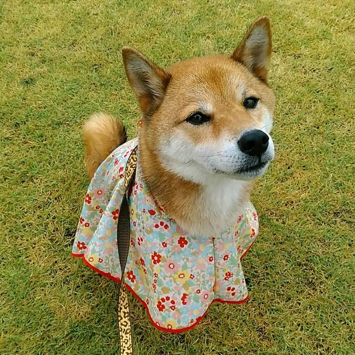 Eafacba6 ff63 41f8 ab34 004ac6f5f360 1532734385681