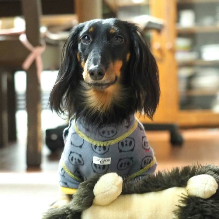 Eafaefe6 f3ea 4d74 9e8c 5373c9fc3592 1514679537168