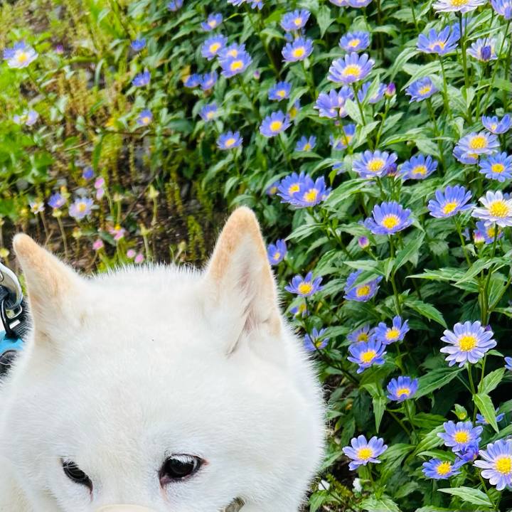 Eafb0a4e 69c3 4c3a ad45 3f43558948bf 1749848528926