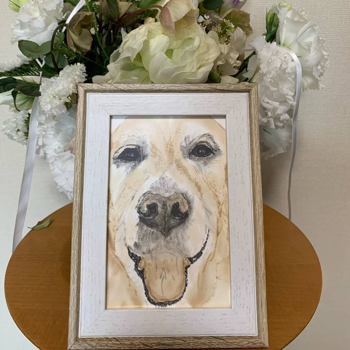 Eafb47d4 238c 473d 9abc ac66885bd25f 1614829903491