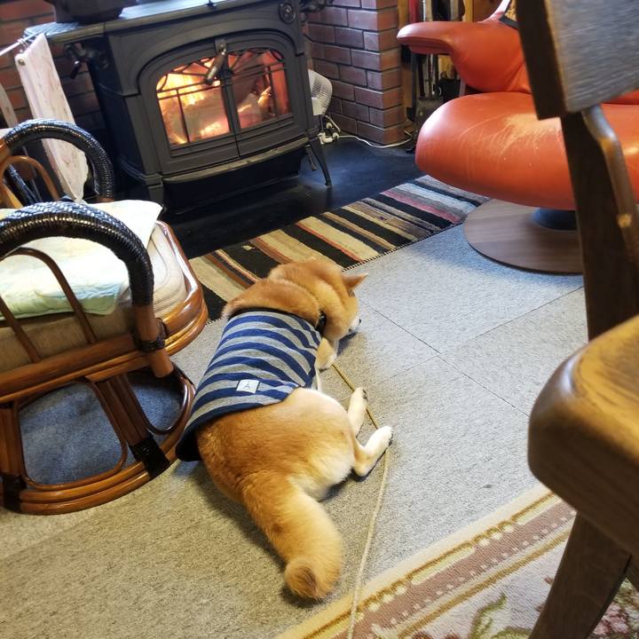 Eafba8d1 65e4 441b a6d8 2c22ddeee709 1575242156810