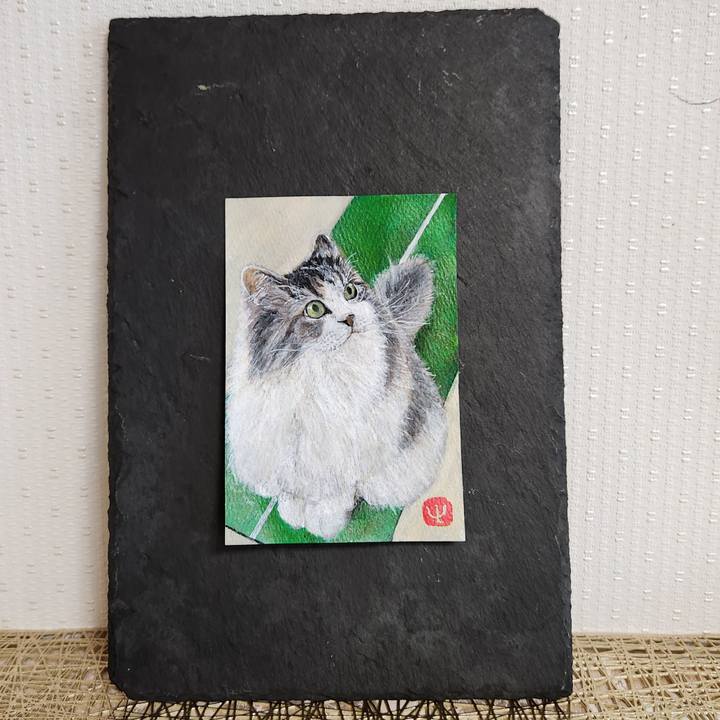 Eafbab4b b770 4e51 aa8e 4f29baadf3ab 1727418620528