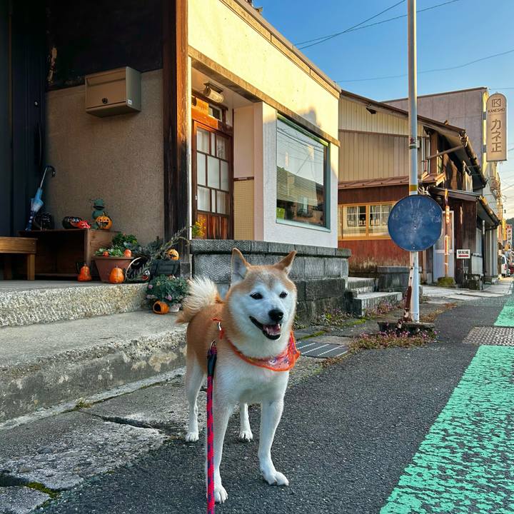 Eafbb9d6 d159 433a b863 e3f6ff780077 1761556006967