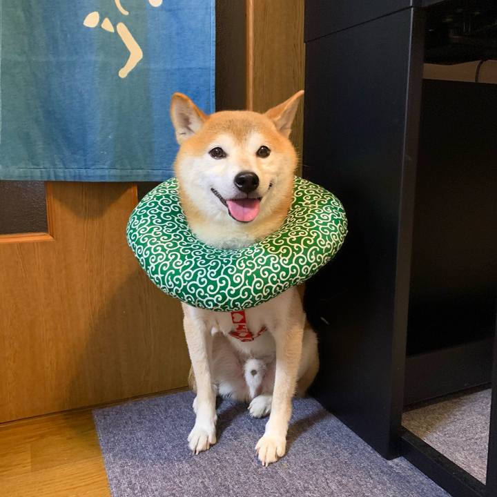 Eafbf903 0a09 4bf9 aae9 49aa26a240db 1633778312996