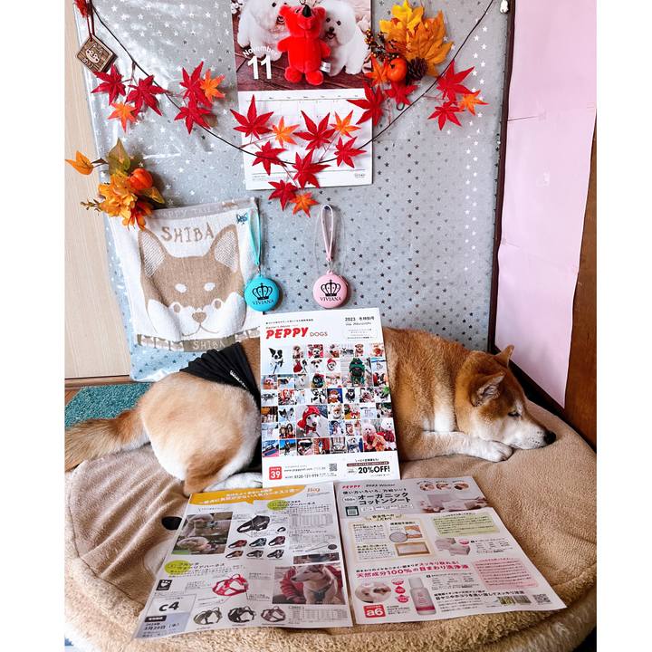 Eafbfe35 4836 40c3 bab0 38afeb9551e1 1698976675717