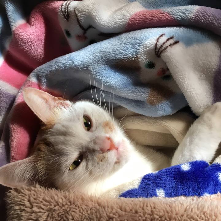 Eafc31c6 ea56 4a69 a0d6 79186c54150b 1523664582094