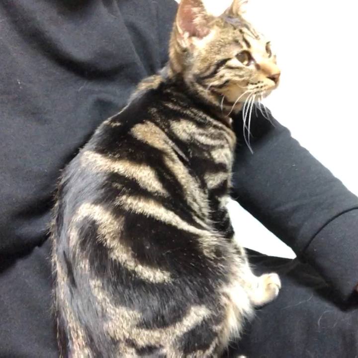 Eafcd8df ed2f 48b4 ac0c 97856ab1a6ec 1742302081733