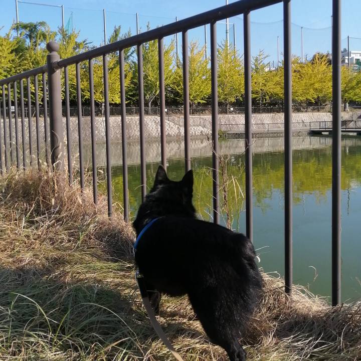 Eafd03a7 a614 4dce a2ea 7b3b85fb6c9f 1634341392013