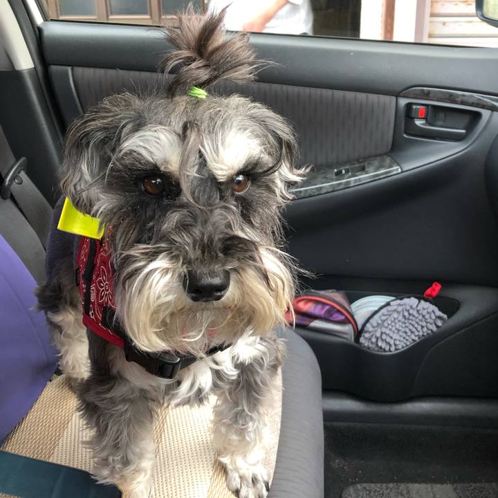 Eafd172c 1a13 4463 a583 bc32f3699f36 1526132671866