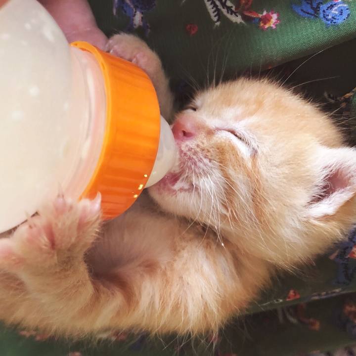 Eafd18f9 d479 4406 8a85 0abb5970afc2 1559403762955