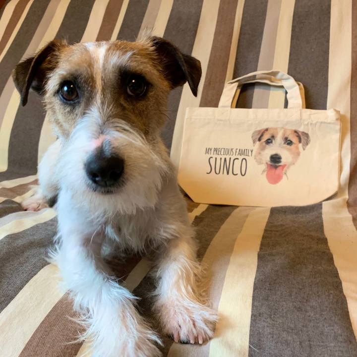 Eafd2040 b38d 4faa 9b2f 8e959a70a16b 1583128297577