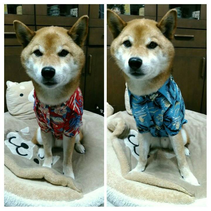 Eafd2518 e3fb 4aad a5ac 9e3f7a5d7883 1560559076711