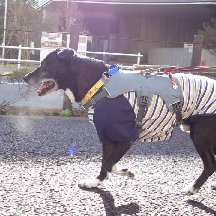 Eafd364c 7cb1 46a2 9478 72f4c3eeeef4 1743731380607