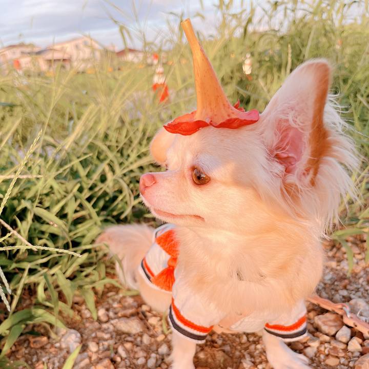 Eafd68b9 09ef 4d4f b9eb f32138b365ee 1662974722146