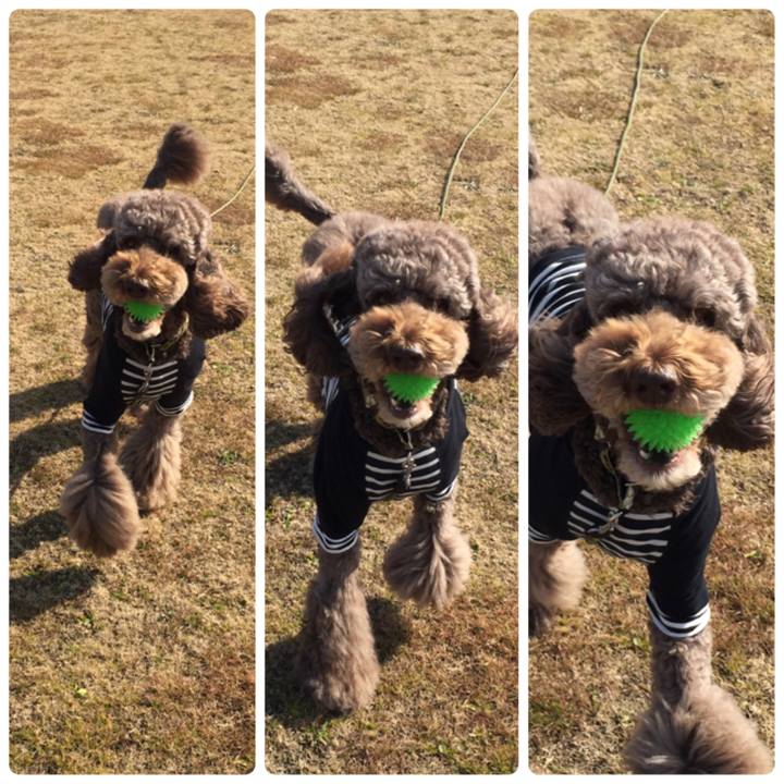 Eafd8bc7 a4f7 4012 bd73 fba7389b102e 1516539368283