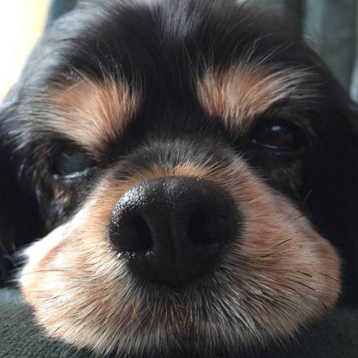 Eafd9a91 17cd 4157 9333 98135b08aafc 1544765675344