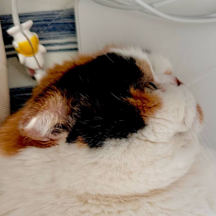 Eafda9ec abce 4929 b58a e9f4511bf540 1687577698645