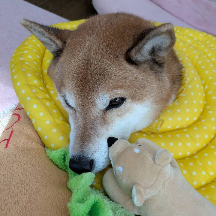 Eafdabf5 444e 4035 a8d1 86539877c550 1733480780372