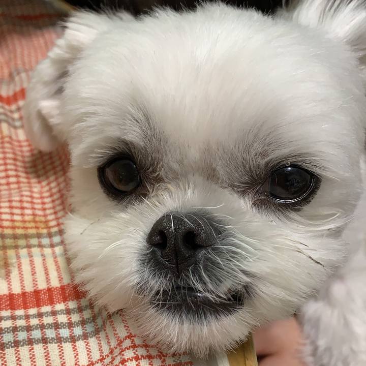 Eafdc830 727a 4989 86df 0108cb029855 1649679244287