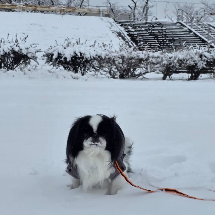 Eafe2f18 98b8 4b9d 8cec 03ba62ee2786 1770523596520