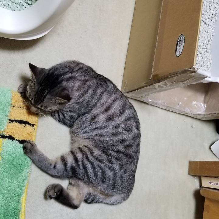 Eafe5c80 0d34 41c1 801e b93977013837 1685189709494