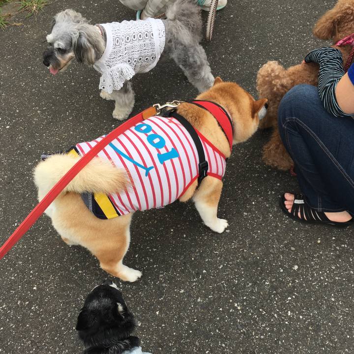 Eafe6070 f703 4d2e a335 0b29847e8d9f 1596844909139