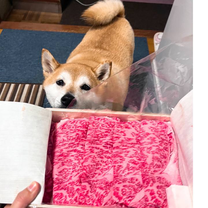 Eafe6a6c 76fb 4bb4 befc c153981f08ed 1713317031147